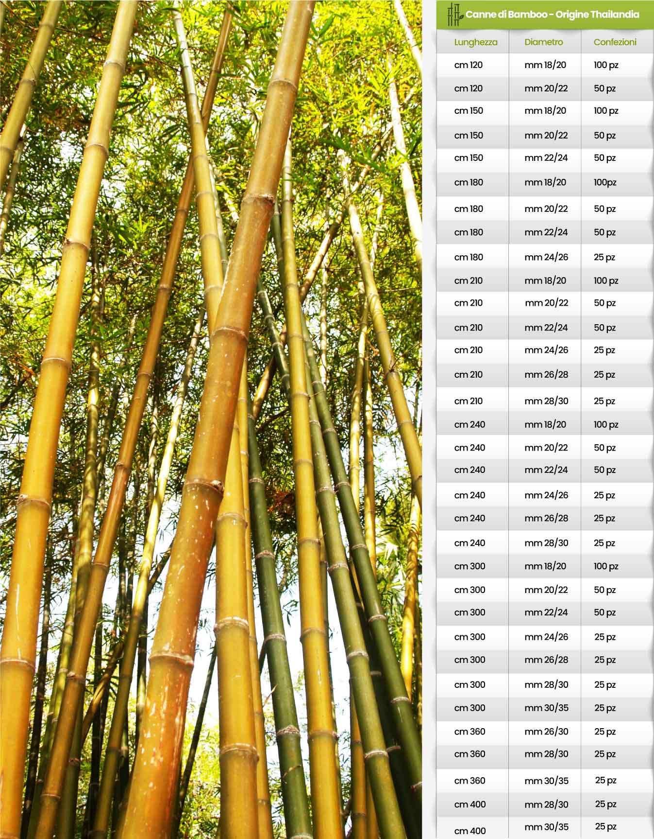 Canne di bamboo  Ingro Vivaio, Pistoia